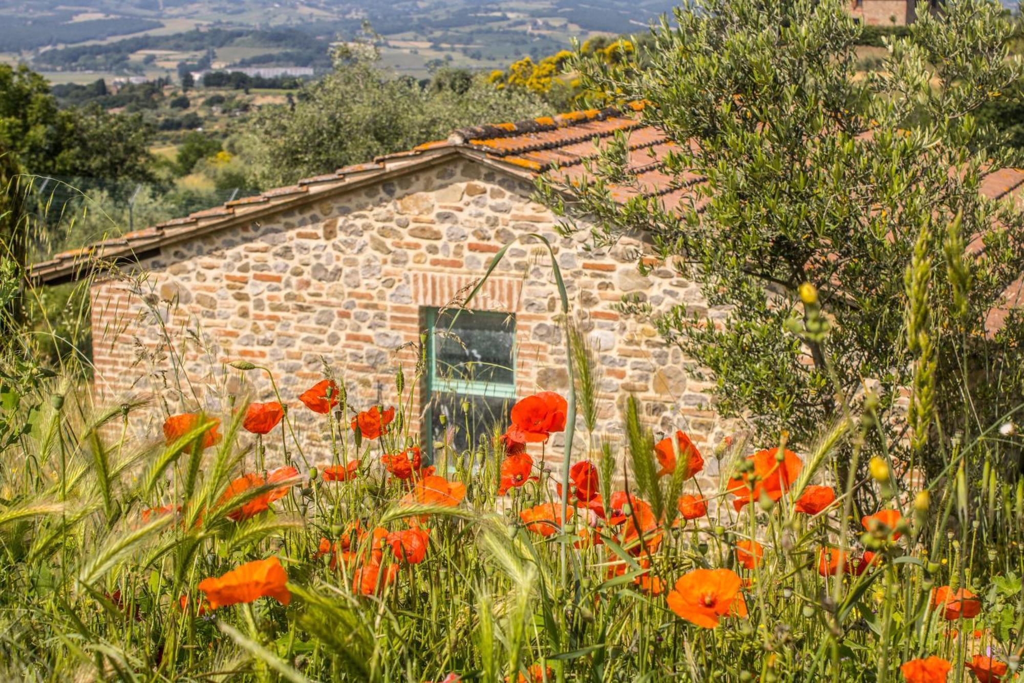 Agriturismo Dandelion Città della Pieve Dış mekan fotoğraf