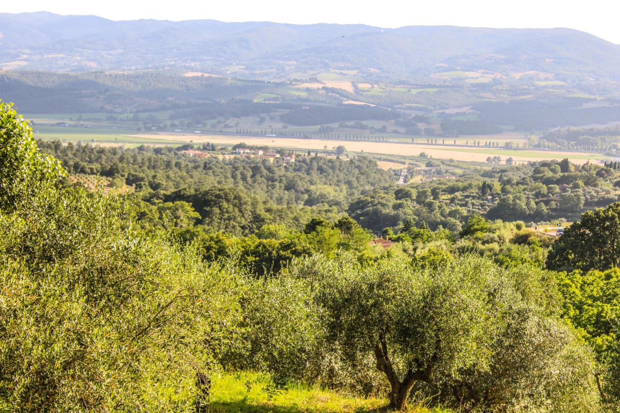 Agriturismo Dandelion Città della Pieve Dış mekan fotoğraf
